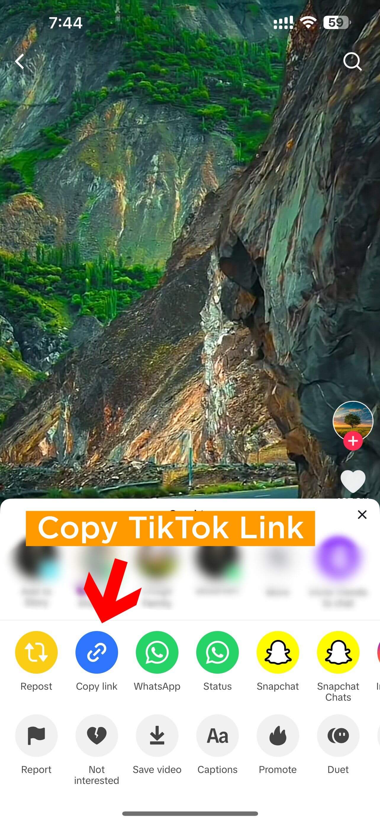 Salin tautan video TikTok di iPhone